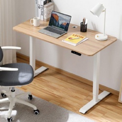 2 stages Height-Adjustable Desk Standing desk